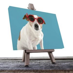 Cuadro Decorativo de Perro Con Lentes #13