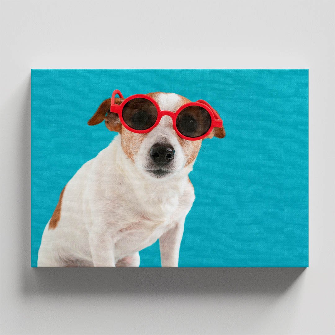 Cuadro Decorativo de Perro Con Lentes #13 - Imagen 4