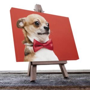 Cuadro Decorativo de Perro Chihuahua con Moño #15