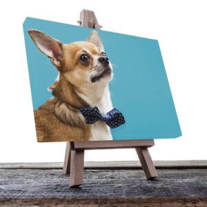 Cuadro Decorativo de Perro Chihuahua con Moño #16