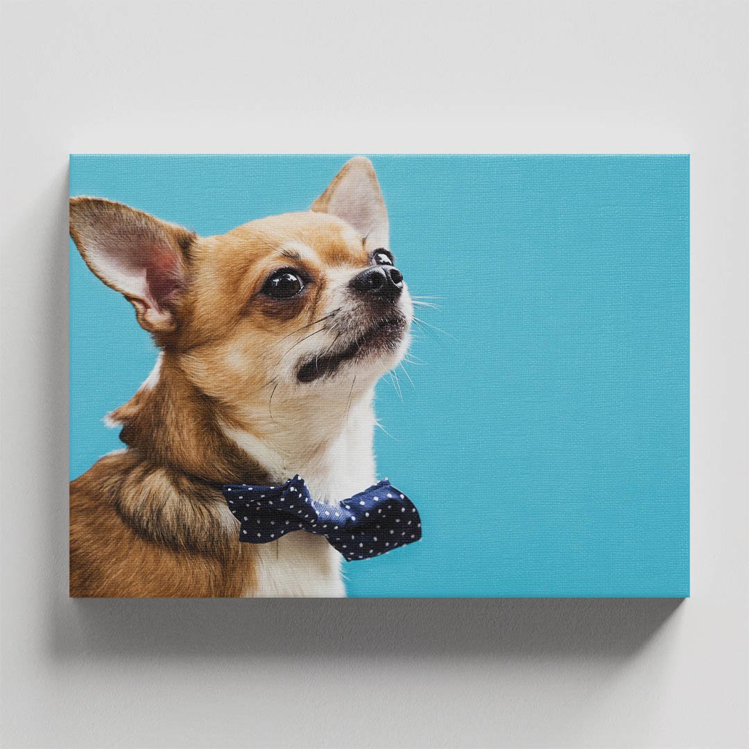 Cuadro Decorativo de Perro Chihuahua con Moño #16 - Imagen 4