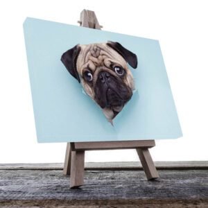 Cuadro Decorativo de Pug #17