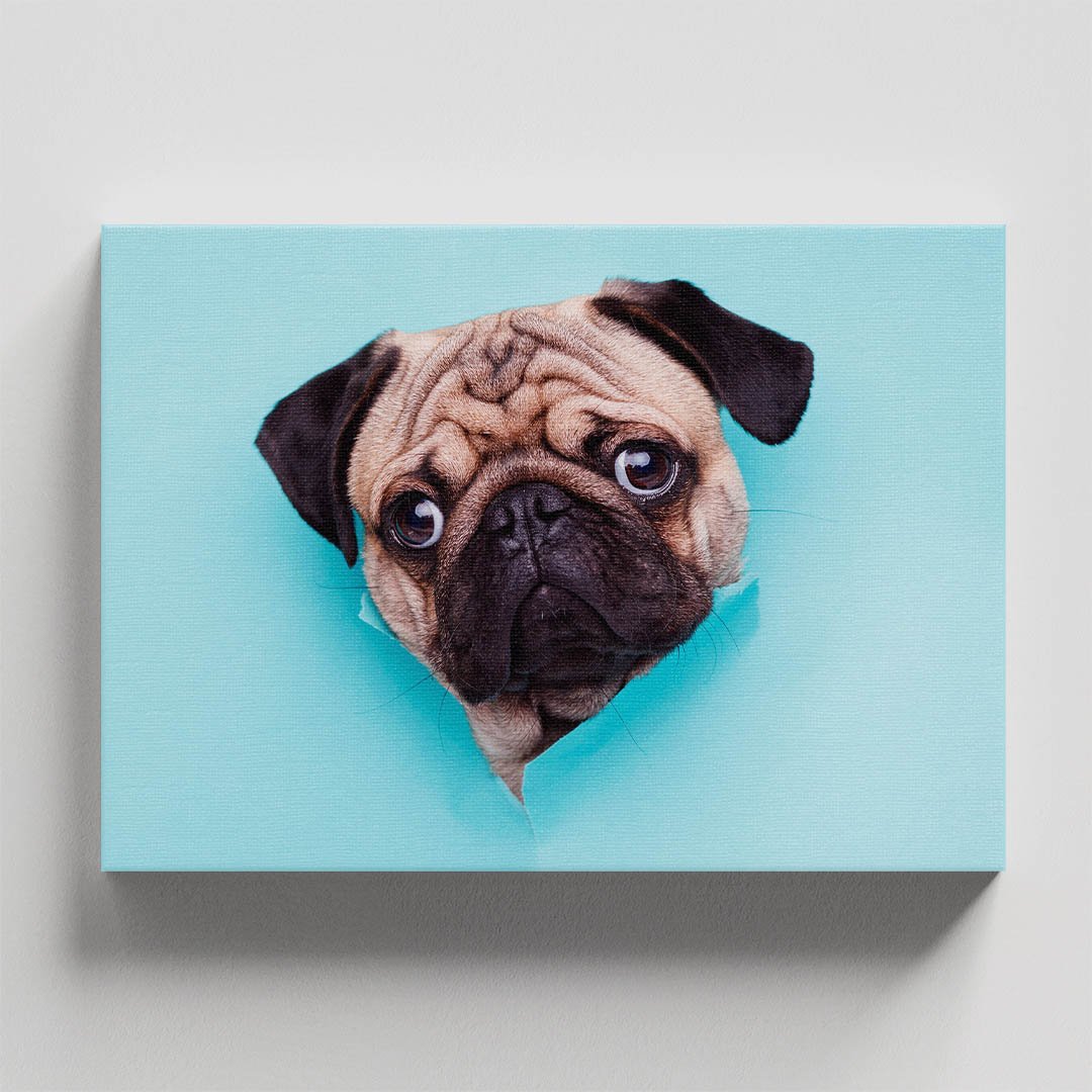 Cuadro Decorativo de Pug #17 - Imagen 4