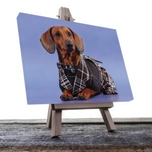 Cuadro Decorativo de Salchicha con Traje #18