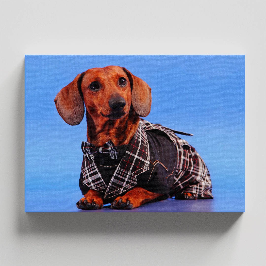 Cuadro Decorativo de Salchicha con Traje #18 - Imagen 4