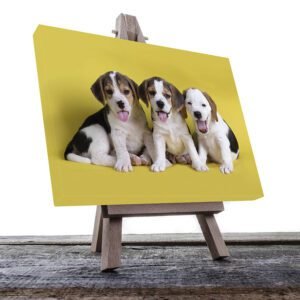 Cuadro Decorativo de Perritos Beagle #19