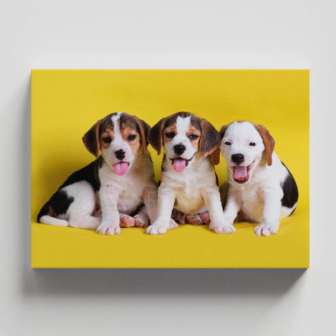 Cuadro Decorativo de Perritos Beagle #19 - Imagen 4