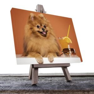 Cuadro Decorativo de Perro Pomerania #20