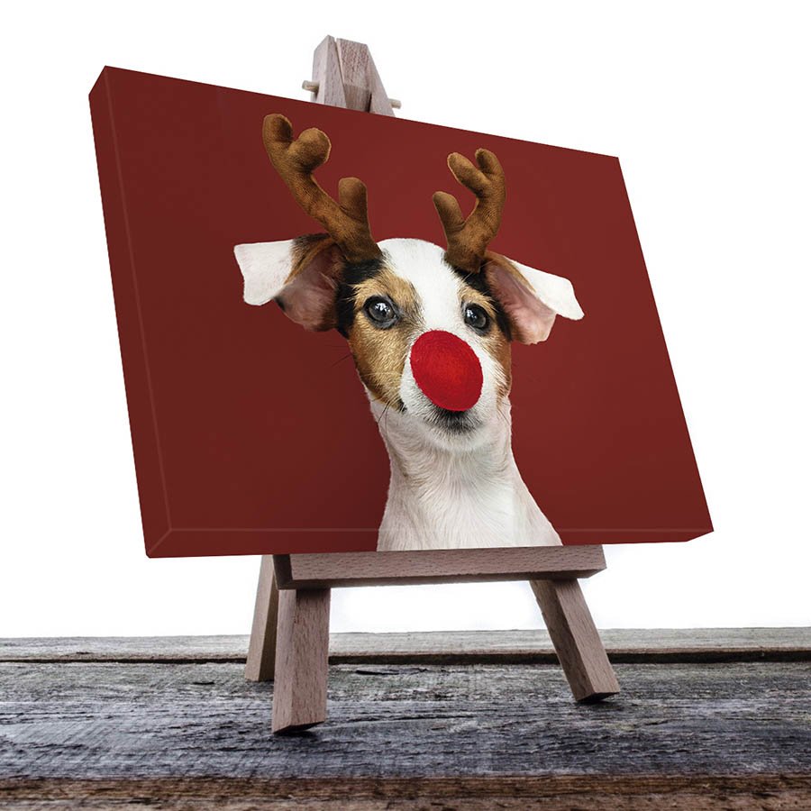 Cuadro Decorativo de Perro Beagle Rodolfo #21