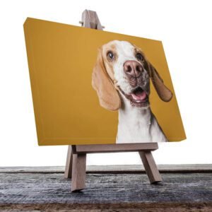 Cuadro Decorativo de Perro  Beagle #22