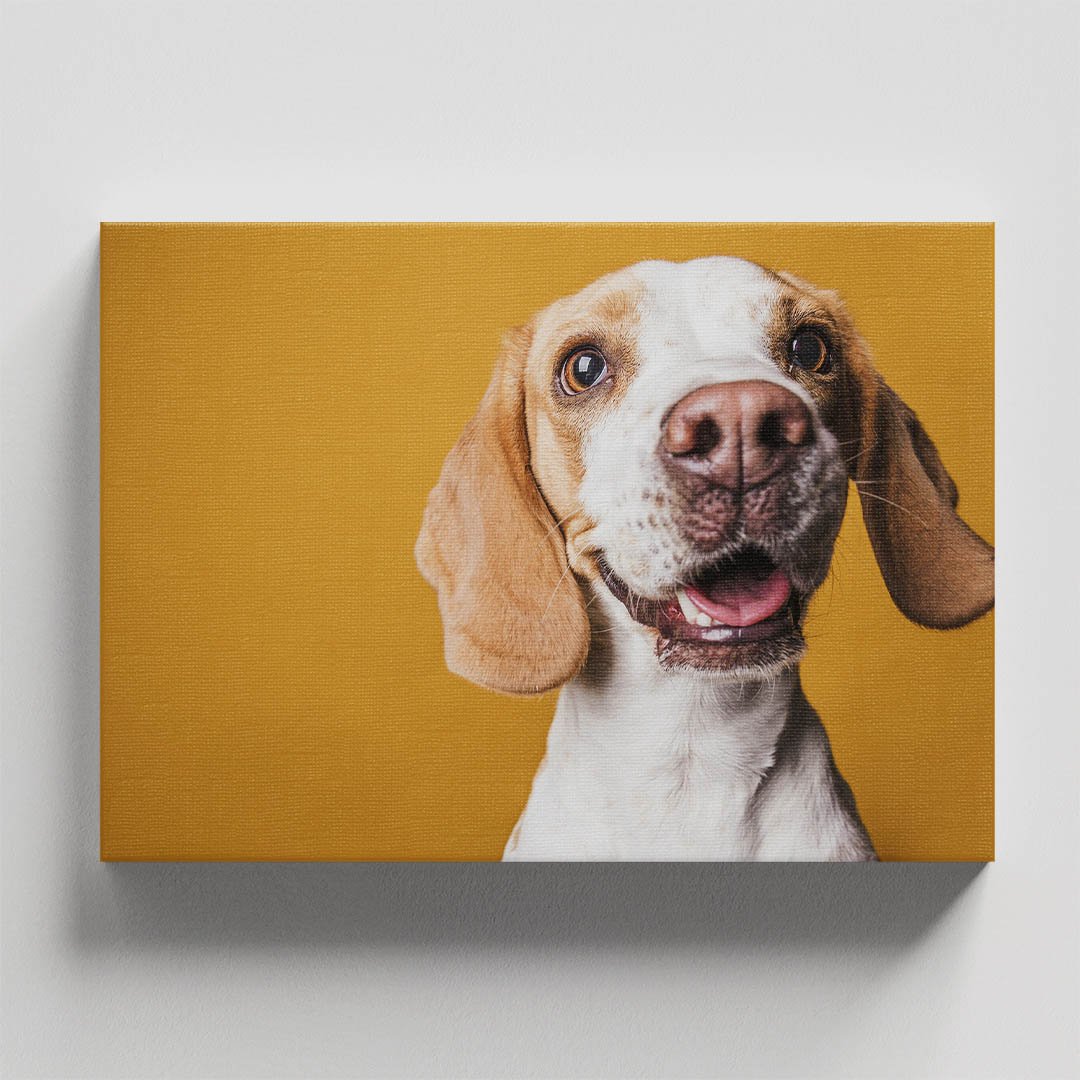 Cuadro Decorativo de Perro Beagle #22 - Imagen 4