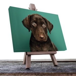 Cuadro Decorativo de Perro Labrador Negro #23