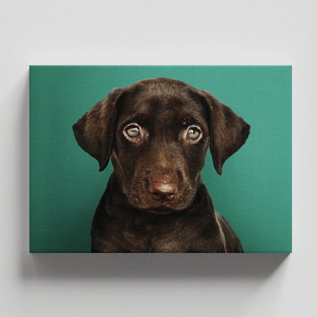 Cuadro Decorativo de Perro Labrador Negro #23 - Imagen 4