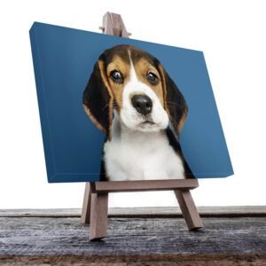 Cuadro Decorativo de Perro Beagle #24