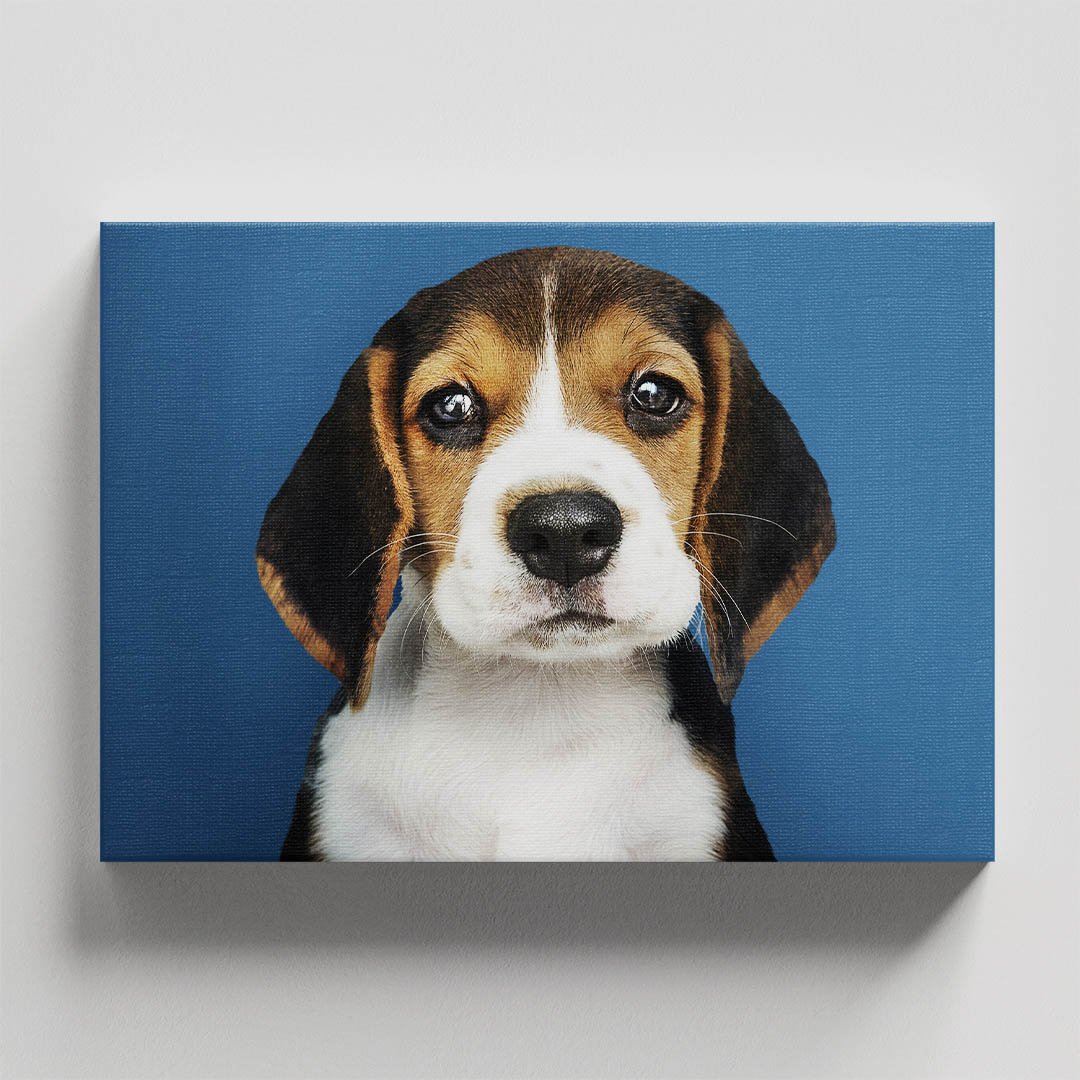 Cuadro Decorativo de Perro Beagle #24 - Imagen 4