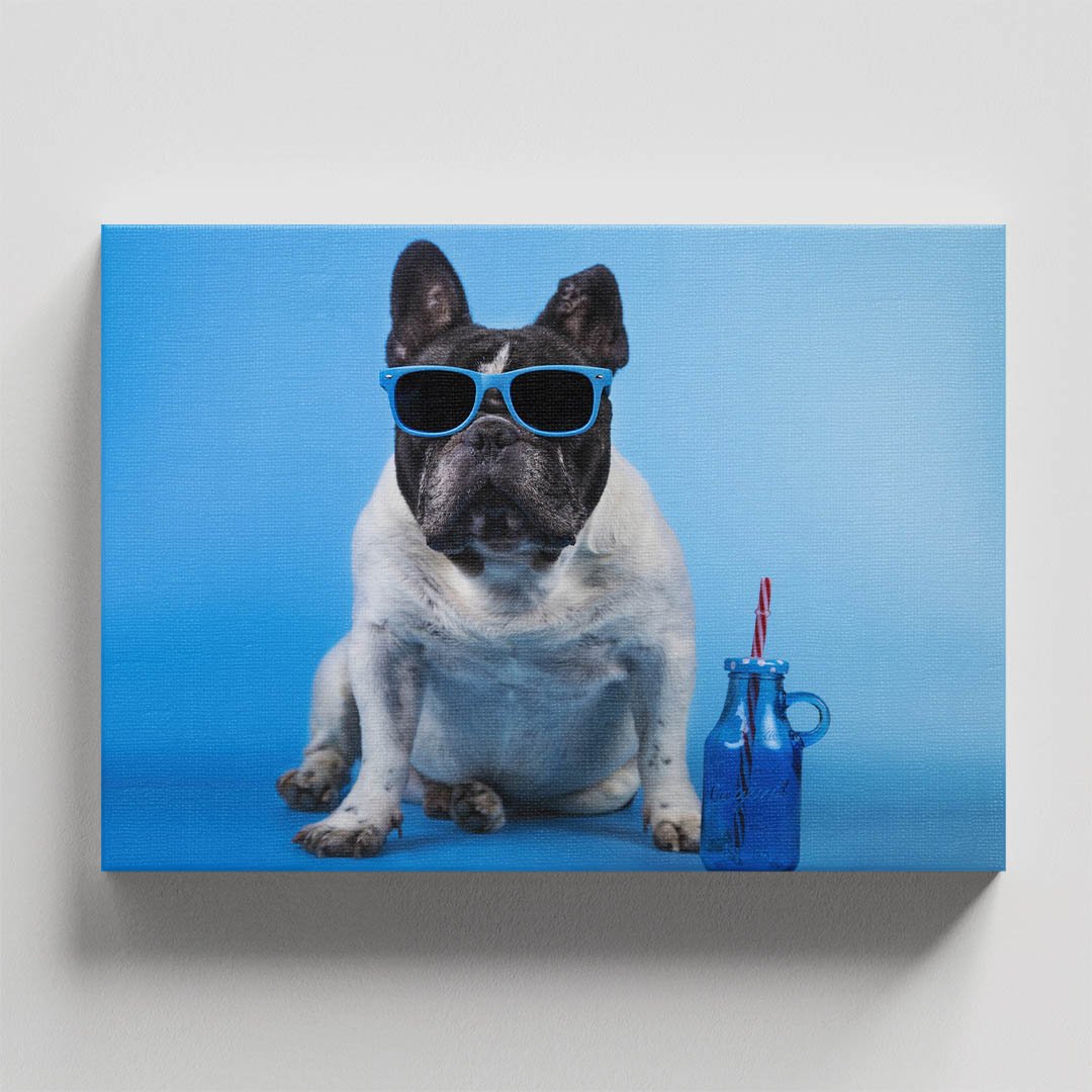 Cuadro Decorativo de Perro Pug Blanco con Lentes #25 - Imagen 4