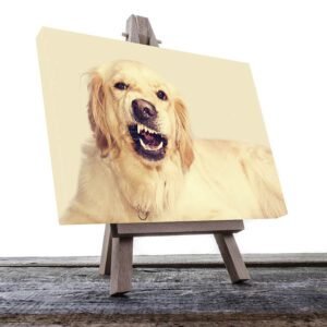 Cuadro Decorativo de Perro Golden #26