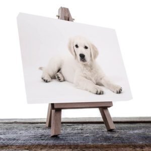 Cuadro Decorativo de Perro Golden #27