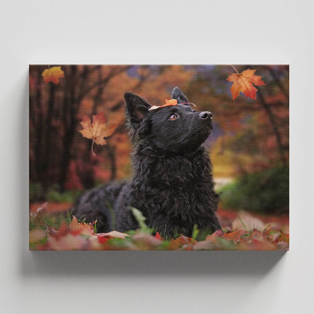 Cuadro Decorativo de Perro Pastor Croata #31 - Imagen 4