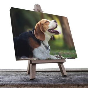 Cuadro Decorativo de Perro Beagle Riendo#32
