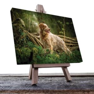 Cuadro Decorativo de Perro Setter Ingles #34