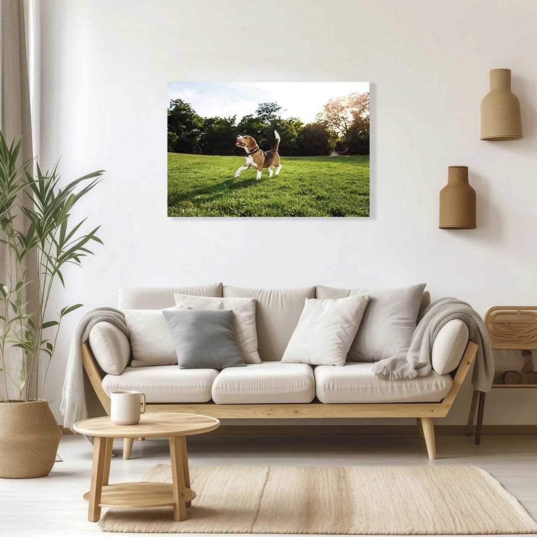 Cuadro Decorativo de Perro Beagle #36 - Imagen 2