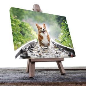 Cuadro Decorativo de Perro Contento #37