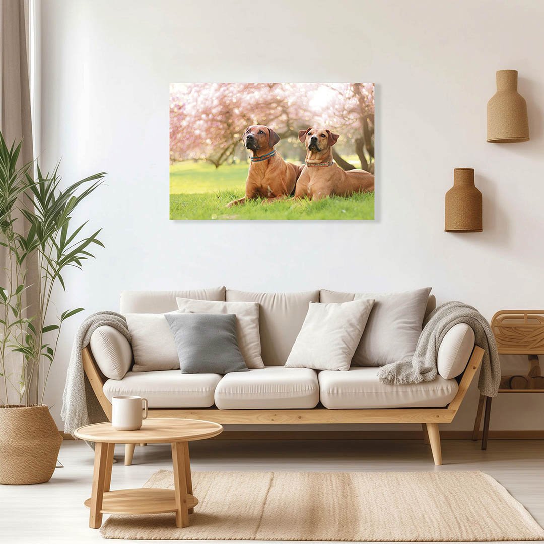 Cuadro Decorativo de Perro Gran Danés #38 - Imagen 2