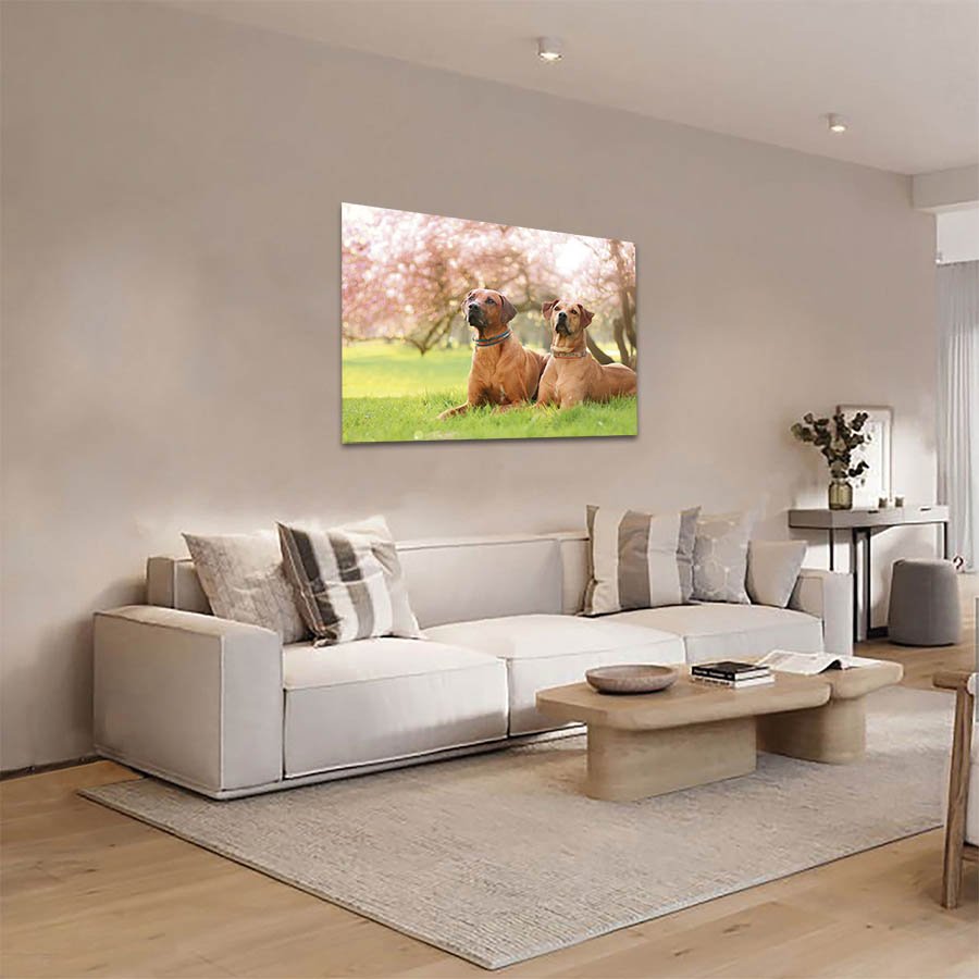 Cuadro Decorativo de Perro Gran Danés #38 - Imagen 3