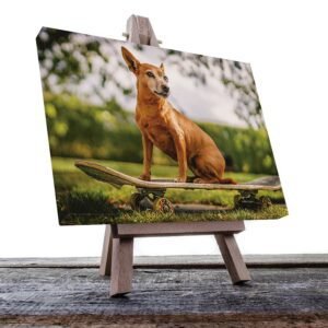 Cuadro Decorativo de Perro Chihuahua #39
