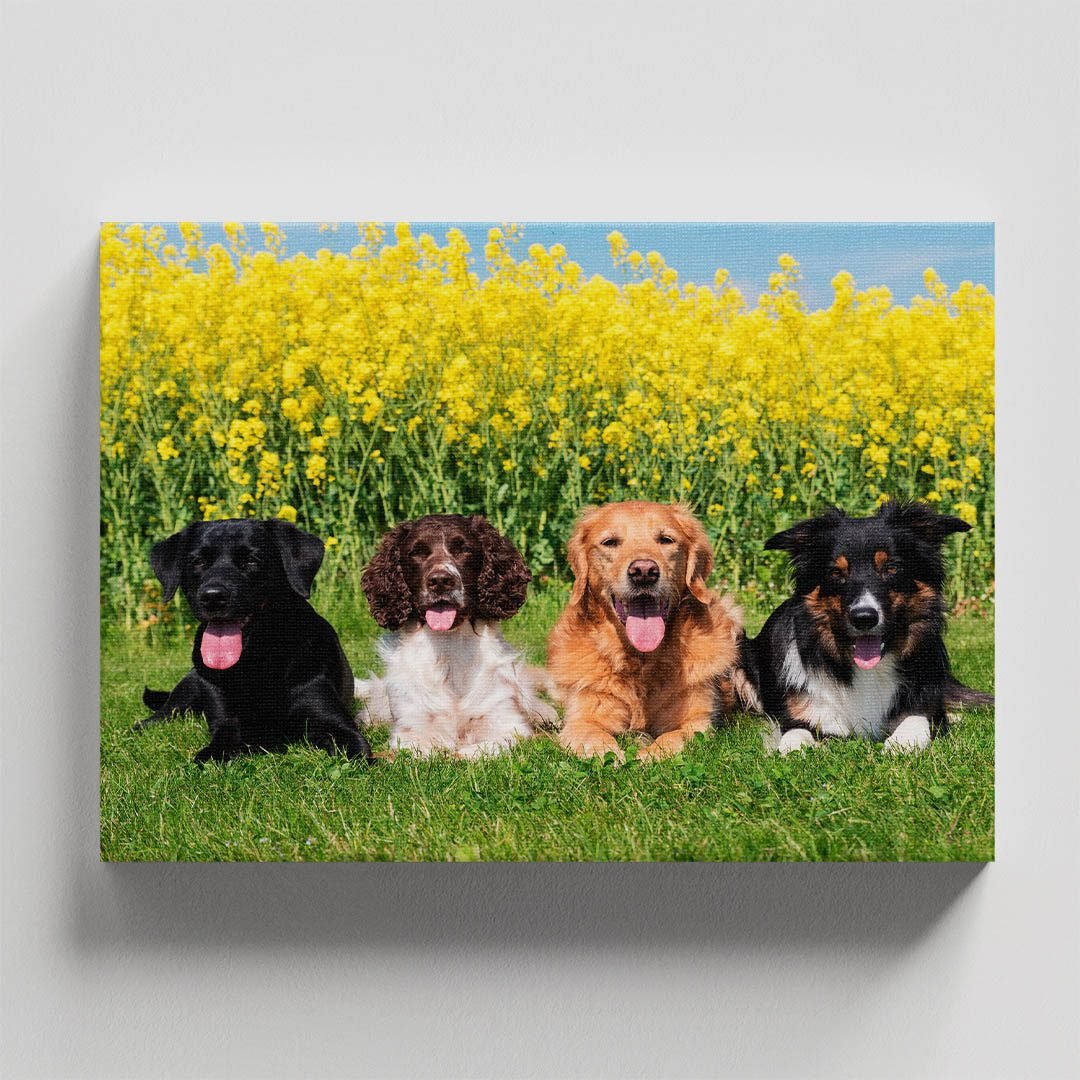 Cuadro Decorativo de Perros En el Campo #40 - Imagen 4