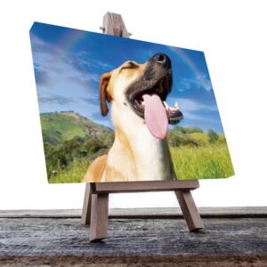 Cuadro Decorativo de Perro Feliz con La Lengua de Fuera #41