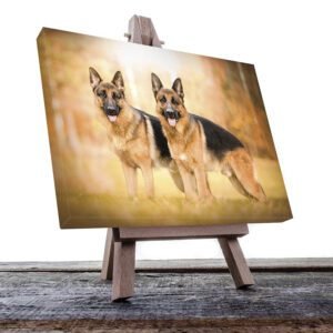 Cuadro Decorativo de Perros Pastor Alemán #45