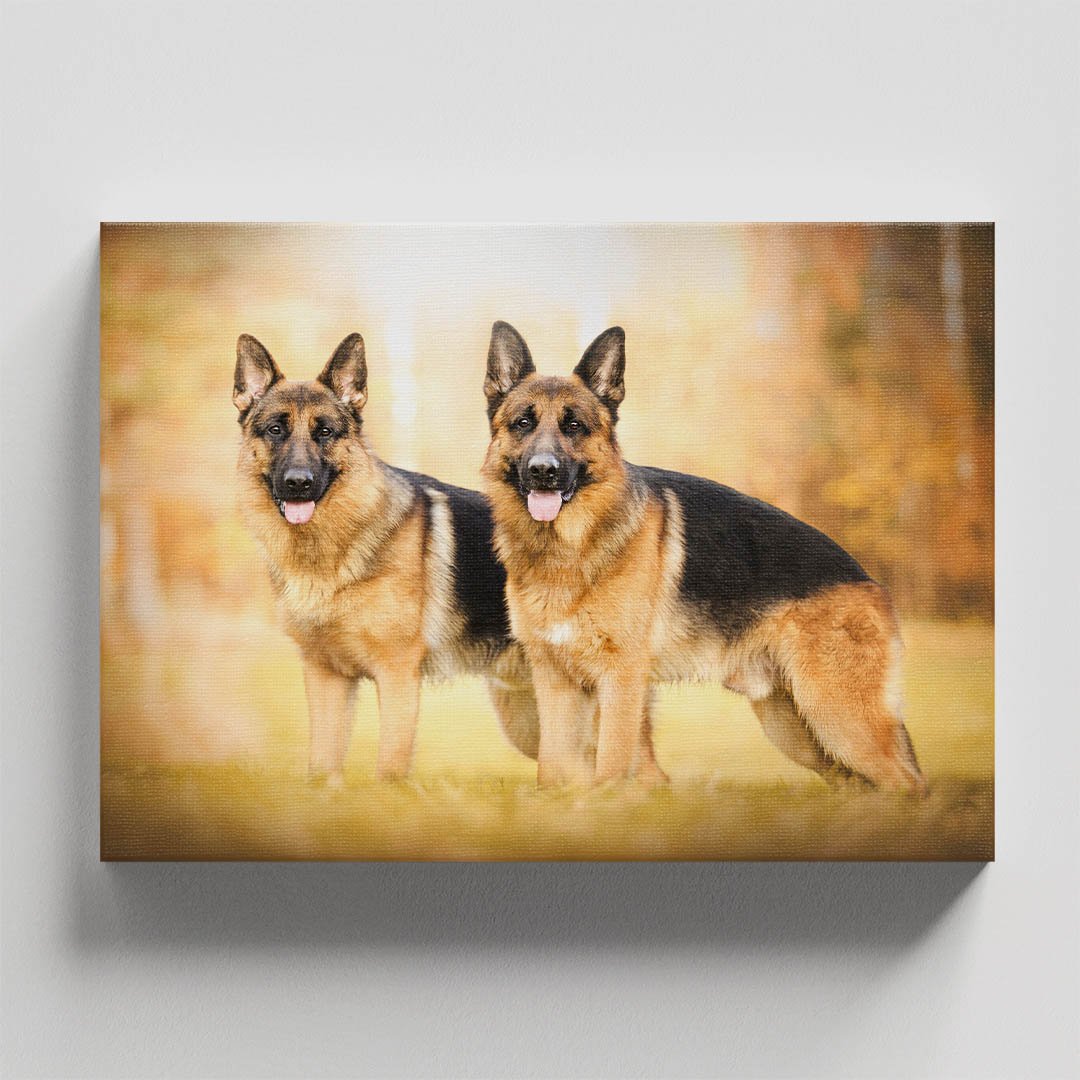 Cuadro Decorativo de Perros Pastor Alemán #45 - Imagen 4