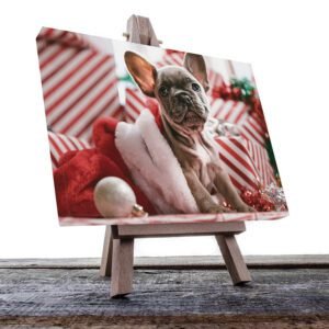 Cuadro Decorativo de Perro Pug Navideño #48