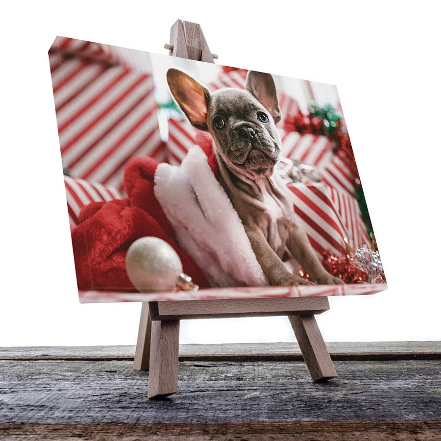 Cuadro Decorativo de Perro Pug Navideño #48