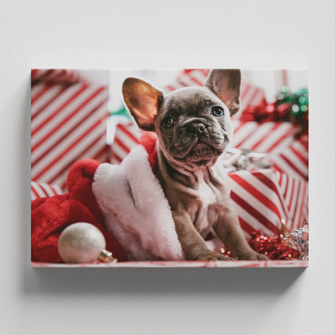 Cuadro Decorativo de Perro Pug Navideño #48 - Imagen 4