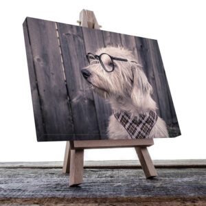 Cuadro Decorativo de Perro Terrier de Pastoreo con Lentes #52