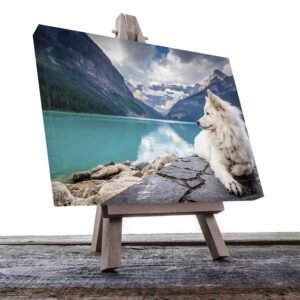 Cuadro Decorativo de Perro en el Lago #53