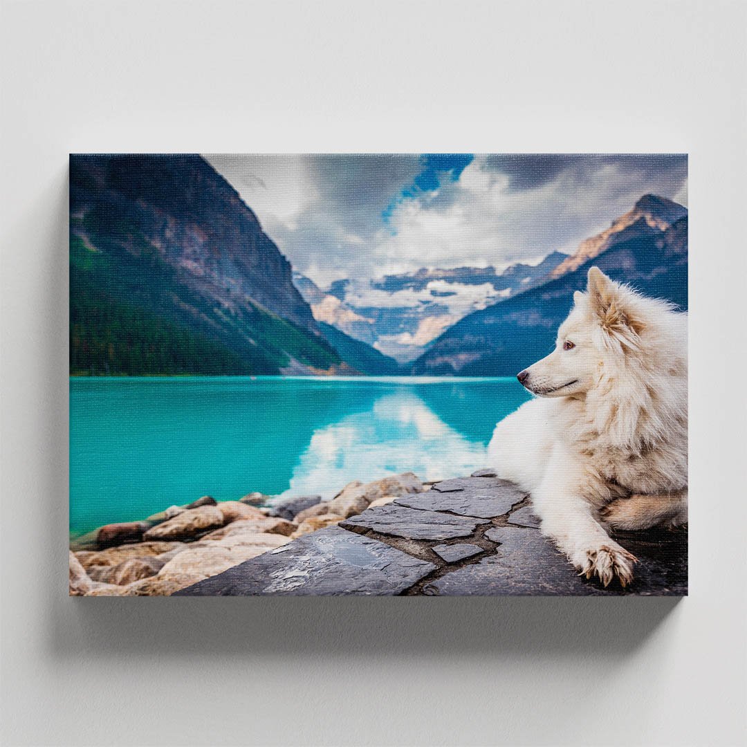 Cuadro Decorativo de Perro en el Lago #53 - Imagen 4