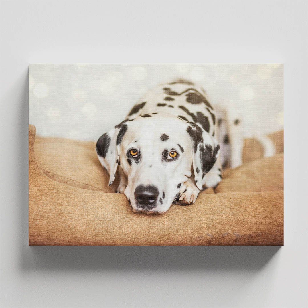 Cuadro Decorativo de Perro Dálmata #54 - Imagen 4