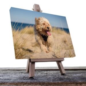 Cuadro Decorativo de Perro Terrier de Pastoreo con Lentes #55