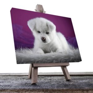 Cuadro Decorativo de Cachorrito Blanco #56