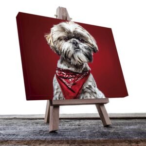 Cuadro Decorativo de Perro Shih Tzu #60