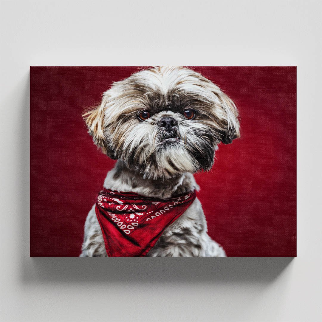 Cuadro Decorativo de Perro Shih Tzu #60 - Imagen 4
