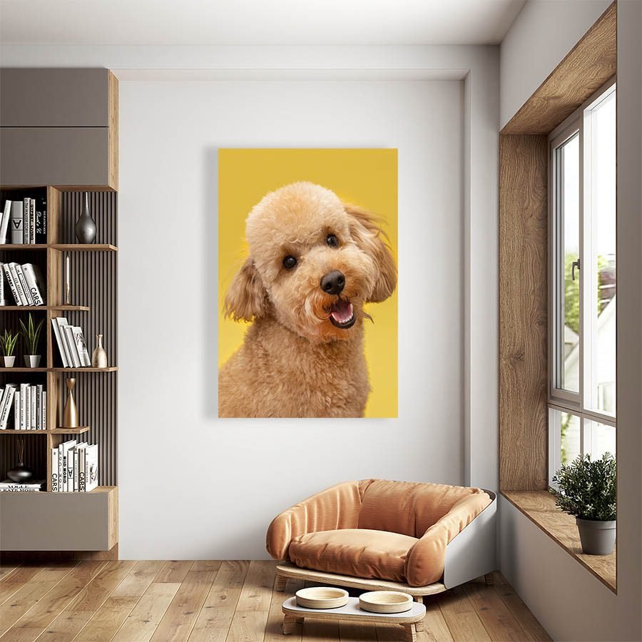 Cuadro Decorativo de Perro Shih Tzu #501 - Imagen 2