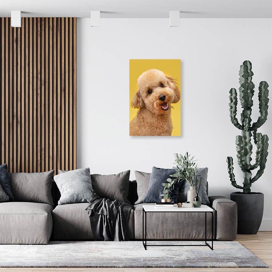 Cuadro Decorativo de Perro Shih Tzu #501 - Imagen 3