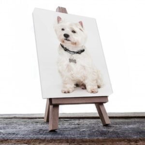 Cuadro Decorativo de Perro Blanco con collar de Huesito #503