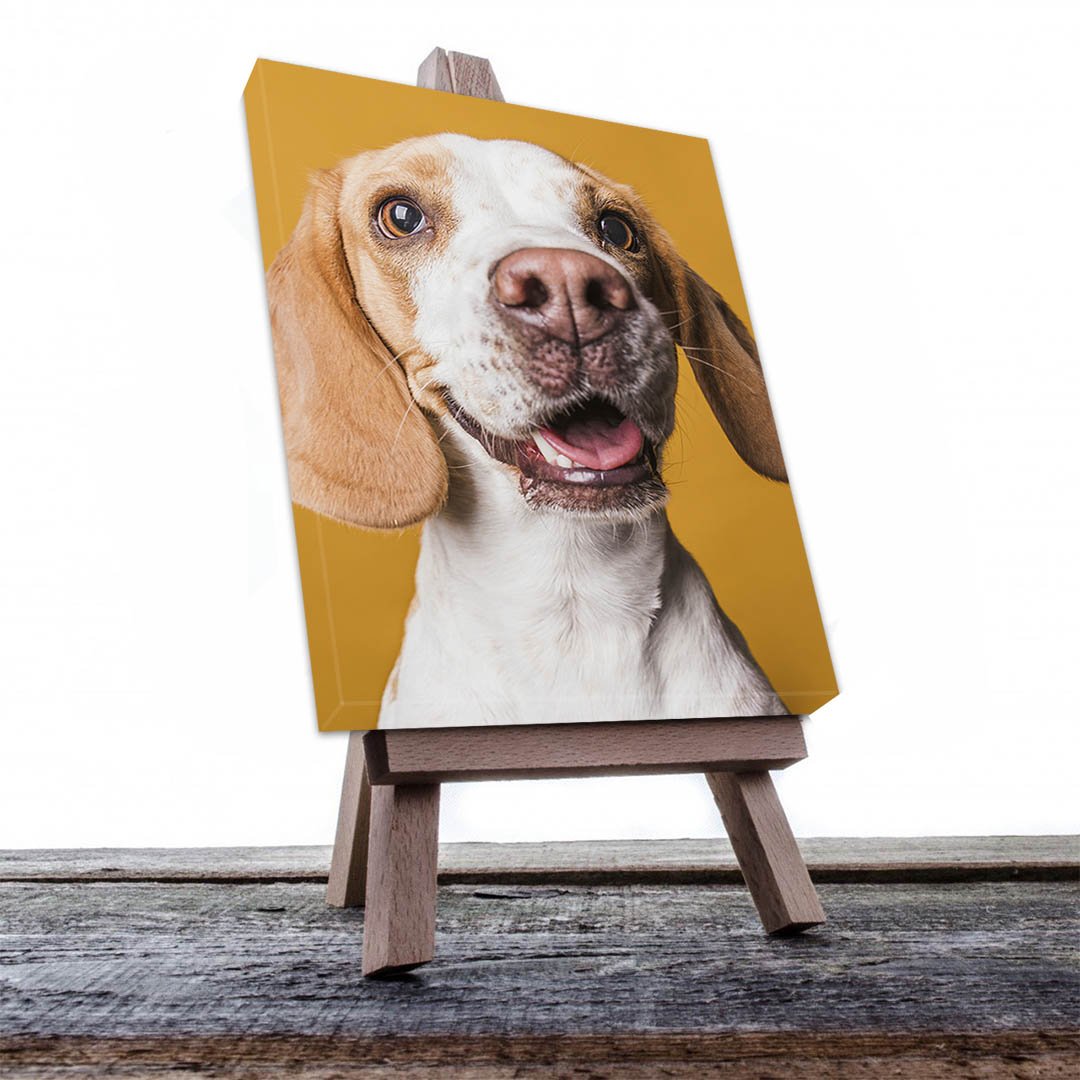 Cuadro Decorativo de Perro Beagle #505