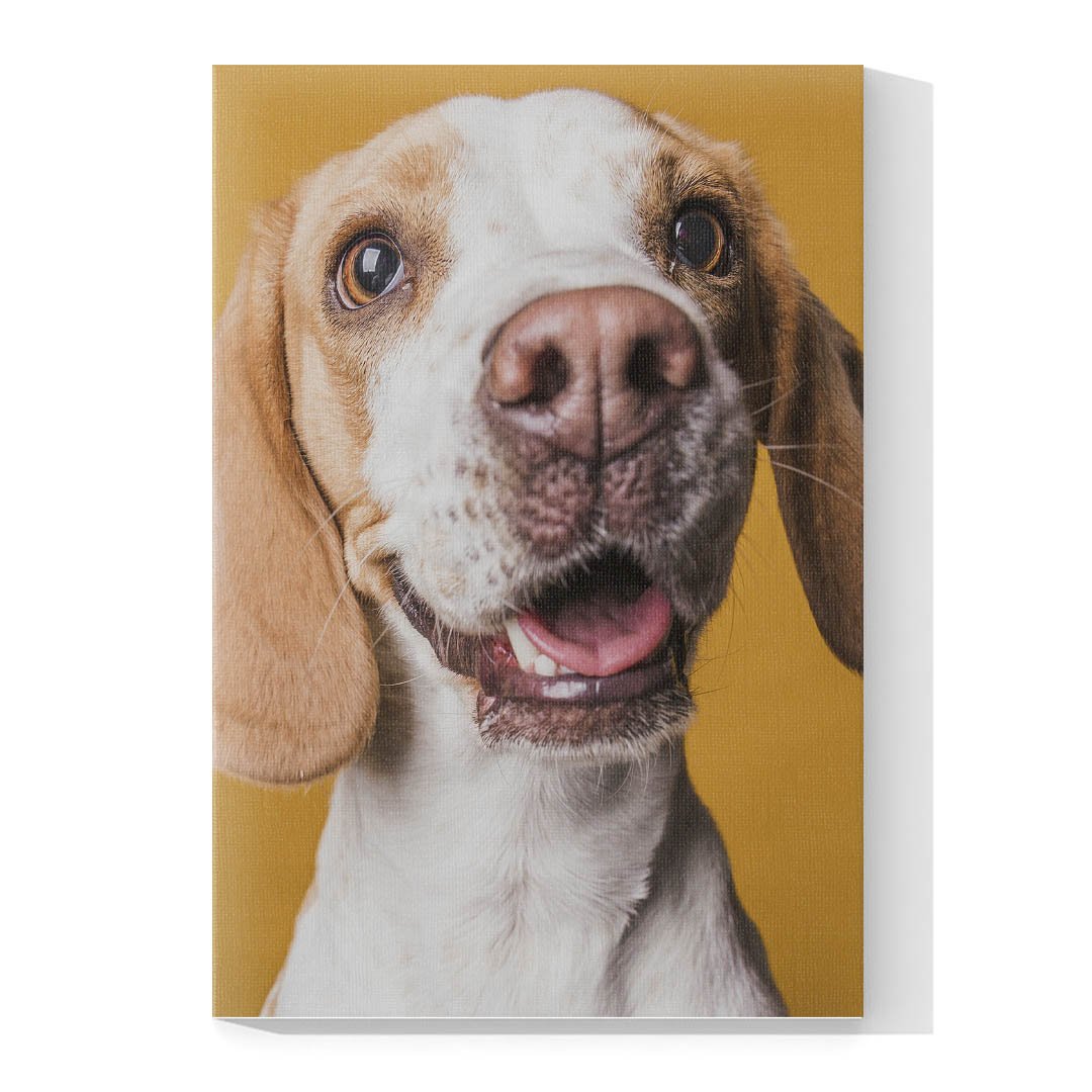 Cuadro Decorativo de Perro Beagle #505 - Imagen 4